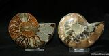 Inch Polished Pair From Madagascar #1066-1